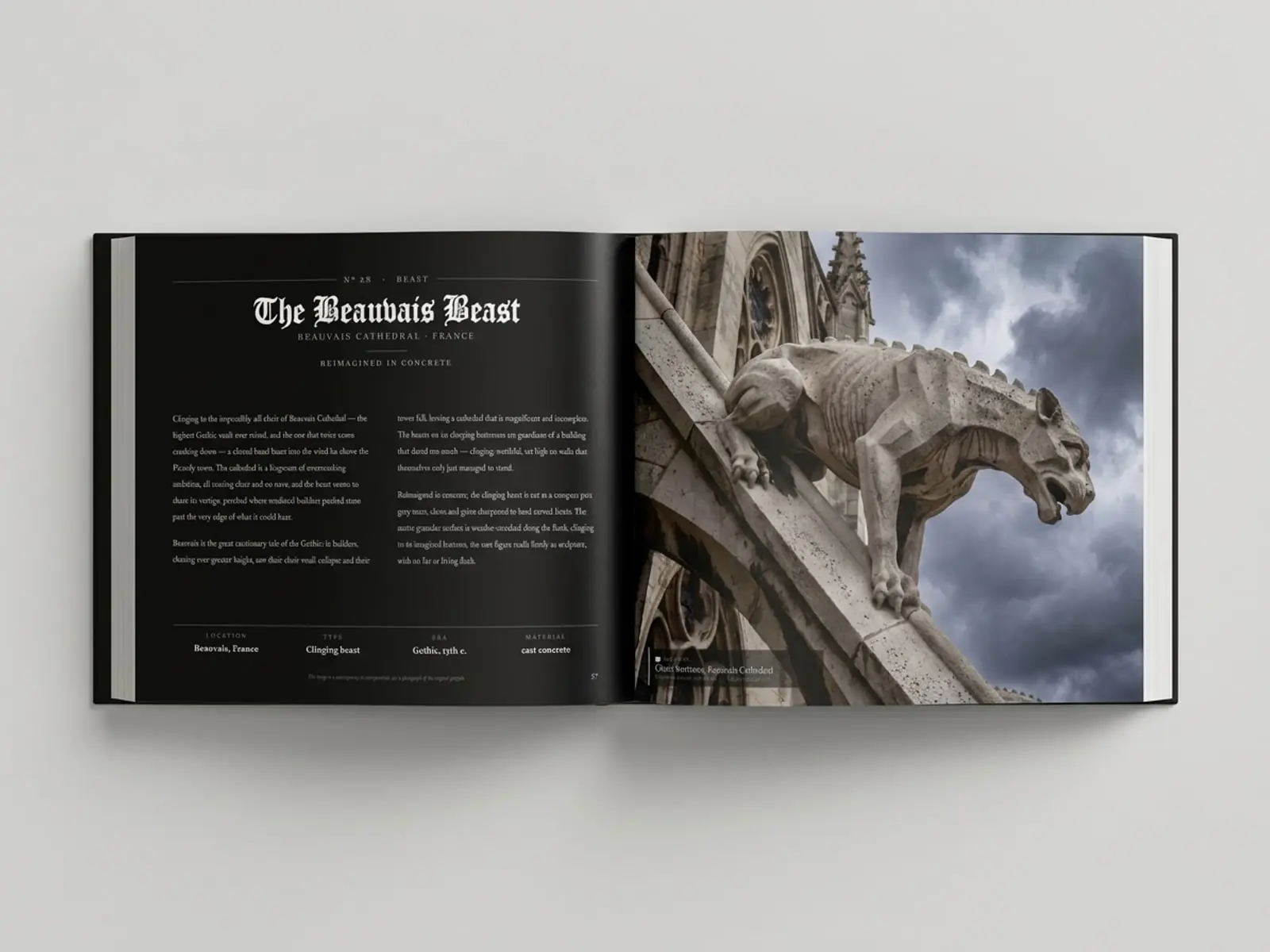 A real printed copy of Watchers in Stone lying open at The Beauvais Beast